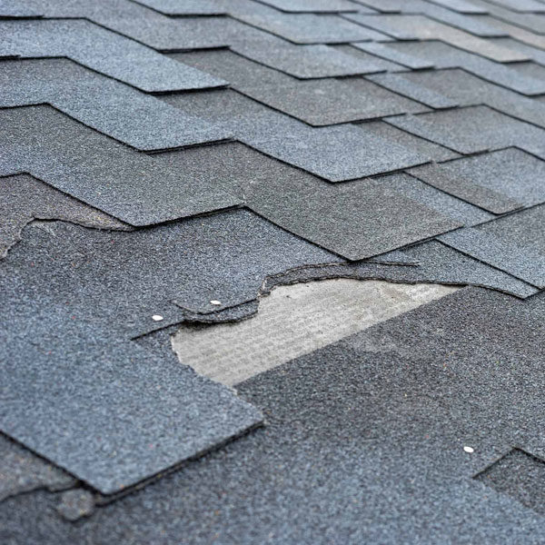 Roofing services - Roofing Maintenance Programs
